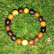 GELANG TERAS CAMPURAN (Teras gemunggal, raja kayu, kemuning hitam, celagi)