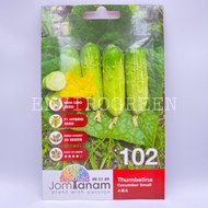 JOM TANAM THUMBELINA CUCUMBER SMALL SMALL CUCUMBER SEEDS JT-102 (20 SEEDS)