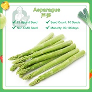 10pcs Seed Green Asparagus Garden Vegetable/芦笋种子/biji asparagus