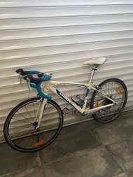 GIANT 公路單車 電動單車 單人 三輪單車 適合任何 成人 家庭 老人 工人姐姐  帶寵物 去街 貓貓狗狗 返工 返學 買餸 接放學 不是 電動滑板車  three wheels single f