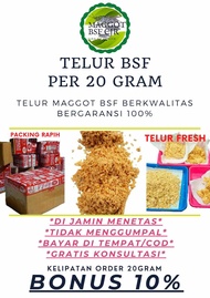 telur bsf super 20 gram telur maggot bsf termurah telur lalat bsf berkwalitas