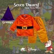 Grumpy Seven Dwarfs Cosplay Costume From WhiteSnow Grumpy Kids Clothes 7 Dwarfs