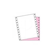 9.5''X11'' 2Ply NCR Color W/P Computer Form (MM5)