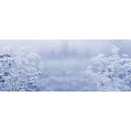 Decorative background images, shutterstock decoration background images, landscape images, wallcover