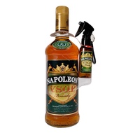 Napoleon VSOP Brandy 750ml – Now with a FREE Stylish Spray Bottle