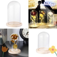 HILDAR Glass cloche Plants Terrarium Tabletop Transparent Bottle Glass Vase Jar Wooden base