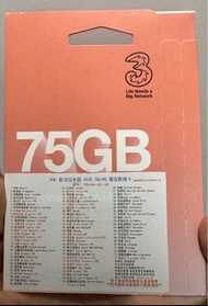歐洲電話卡 亞洲電話卡 香港 越南 美國 新加坡 澳門 英國 30天 75GB