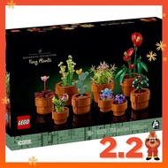 [READY STOCK] LEGO 10329 ICONS Botanical Collection Tiny Plants