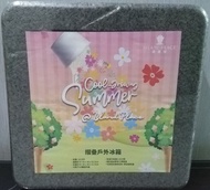 【全新】可摺疊 輕便易攜慳位  環保 戶外保溫箱  19公升