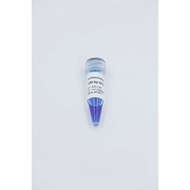 100 bp DNA Ladder, 500uL