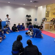 Jiu jitsu Bjj Indonesia Jakarta public class martial art bela diri 12x