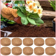 BEDDING COLLECTION Coco Coir Fiber Potting Soil Indoor Plants Environment Friendly Coconut Soil Accessories Garden Supplies Compressed Soil