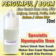 Essen Pengumpul Boom Ikan Di Lapak Paling Ampuh, Essen Pengumpul Ikan Mas Paling Gacor, Essen Spesia