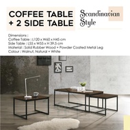 COFFEE TABLE WITH 2 SIDE TABLE / 3 IN 1/LIVING HALL SET/LIVING COFFEE TABLE/SIDE TABLE/TEA TABLE