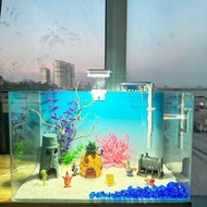 LEPET PAKET AQUARIUM SPONGEBOB 50CM / AQUARIUM MELENGKUNG / AQUASCAPE / AQUARIUM BENDING