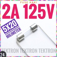 FUJI Fuse 2A 125V Fuse Plus Long Leg