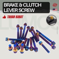Universal Brake & Clutch Lever Bolt Screw Skru 6*30MM Gold Titanium Y15 Y15ZR Y16 Y16ZR LC135 RS150 