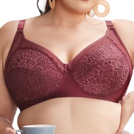 AXXX J.DELPHINA NON WIRED BRA (SIZE : 34B SEHINGGA 44E)