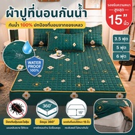 LUMI Waterproof Bed Sheet 1 Dust Mite Proof Size 6 Feet/5 Feet/3.5 Feet Height 15 Inches + Pillowcas