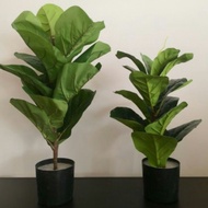 FIDDLE FIG ARTIFICIAL PLANT (premium quality)