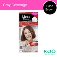 Liese Blaune Creamy Foam Color Rose Brown