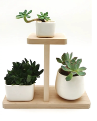 Kệ Để Bàn Hoa Giá Đỡ Đứng kệ để cây cảnh mini đồ lưu niệm trên bàn sang trọng gỗ tự nhiên kích thước