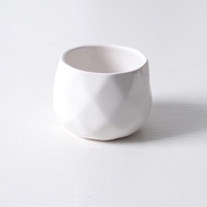 White Minimalist Creative Succulent Ceramic Small Flower Pot Artificial Succulent Pant Decorations Mini Ornaments Cross-