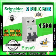 Schneider Easy9 6A 10A 16A 20A 32A 40A 63A 2 Pole MCB 4.5KA