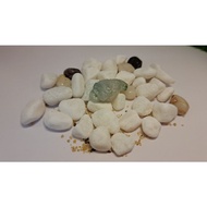 Burmese Jade 3-Legged Frog God Holding A Coin Made Of Real Jade. Very Good Meaning (G2-16)