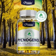 Pycnogenol supplement, 100 mg, pine bark extract, contains proanthocyanidins, laboratory tested, die