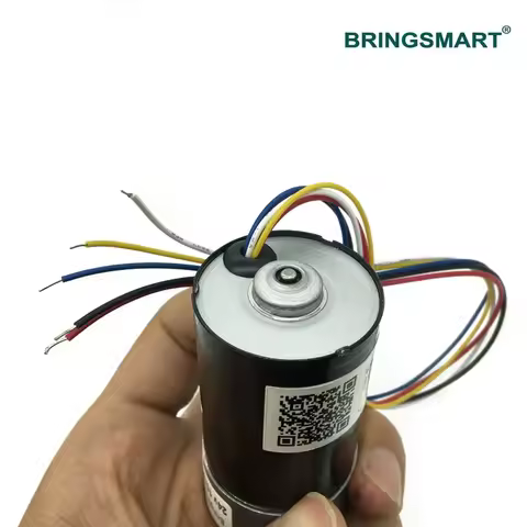 BringSmart DC Mini Electric Motor High Speed 8-1040rpm 12V 24V High Torque Customized Brushless Moto