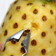 🔥READY STOK🔥 GAJET DAPUR Alat buang mata nenas