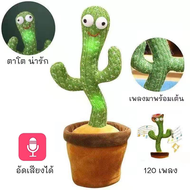 กระบองเพชรเต้นได้ พูดตามได้ น้องบองพูดได้ 120 เพลง อัดเสียงได้ ร้องเพลงได USB แบบชาร์จไฟได้ ตุ๊กตากร