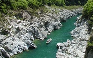Oboke Gorge & Iya Valley Vine Bridge Full-Day Nature Tour