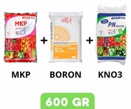 NKP PAK TANI+BORON+KN03 PUTIH PAKET HEMAT PUPUK BUAH DAN SAYUR MASA GENERATIF