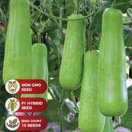 Benih Labu Air F1 Hybrid/Hybrid F1 Bottle Guard Seeds