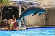 Tiket Bali Exotic Marine Park