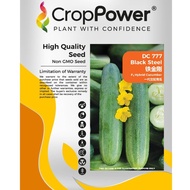 Benih Timun Black Steel DC777 Hibrid F1 Cap Crop Power (20gm)