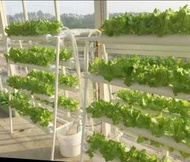 陽無土栽培設備水培蔬菜管道種植家庭式小型生菜青菜水耕栽培機  露天拍賣