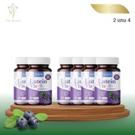 2 แถม 4 นลิน ลูนทีน วิส บำรุงสายตา Lutein Vis Nalin ตาล้า มองไม่ชัด