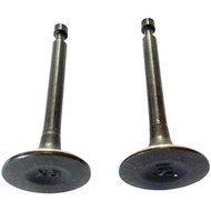 GX160 GX200 Valve Set Intake Exhaust