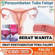 Obat Tradisional Penyumbatan Saluran Tuba Falopi Saluran Tuba Falopi