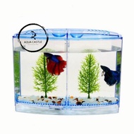 Betta tank 2kit/ betta house double