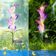 BLUEVELVET 2pcs LED Garden Light, Automatic Color Changing High-Efficiency Solar Panels Solar Garden