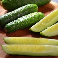 30 เมล็ด เมล็ดพันธุ์ แตงกวา แตงขี้ไก่ แตงขี้ควาย แตกช้าง แตงปี แตงร้าน ผักสวนครัว Cucumber สายพันธุ์