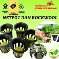 Netpot and Rockwool