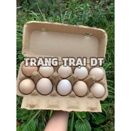 50 pcs Paper egg box of 10 eggs, paper egg tray of 10 eggs with lid