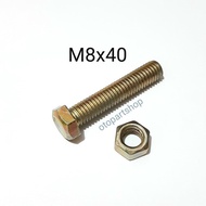 M8x40 Nut Bolt M8 Bolt Bolt and Nut Set 12 bolts 4cm long