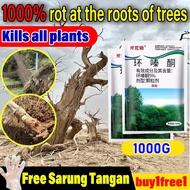 1000% rot at the roots of trees racun pokok besar 500g Formula pekat racun pokok kayu besar Effectiv