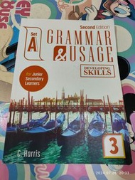Set A Grammar & usage developing skills 3